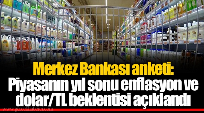Merkez Bankası anketi: Piyasanın yıl sonu enflasyon ve dolar/TL beklentisi açıklandı