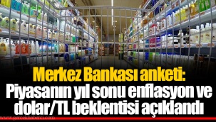 Merkez Bankası anketi: Piyasanın yıl sonu enflasyon ve dolar/TL beklentisi açıklandı