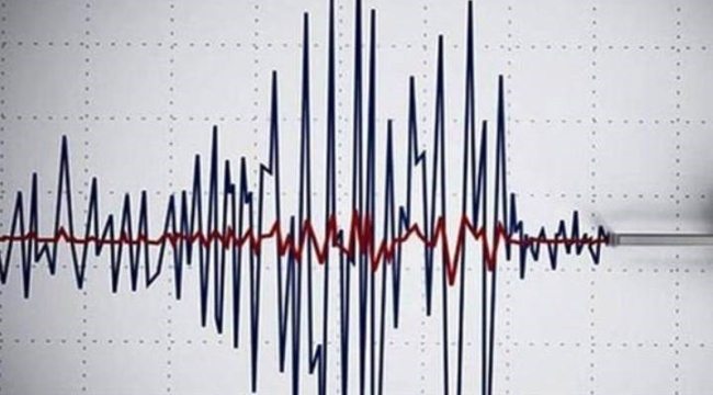 Muğla’da 4.6 büyüklüğünde deprem