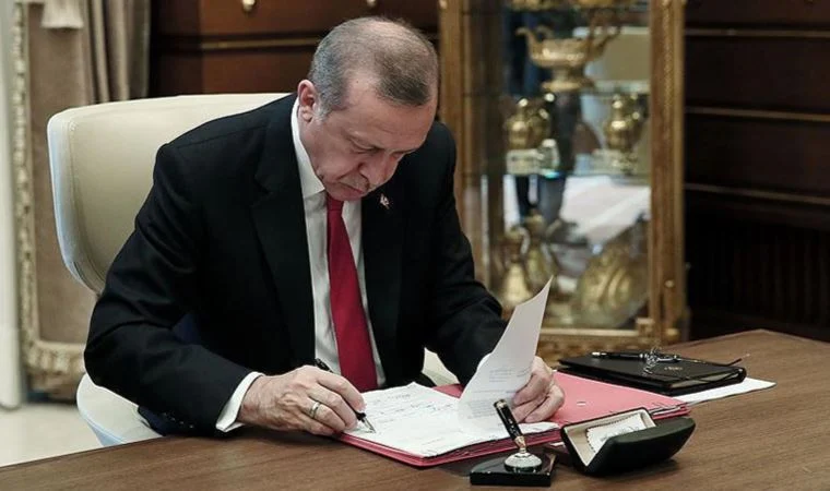 Resmi Gazete'de yayımlandı: Cumhurbaşkanı Danışmanlığı'na iki isim daha atandı
