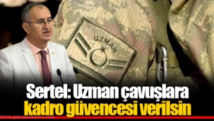 Sertel: Uzman çavuşlara kadro güvencesi verilsin
