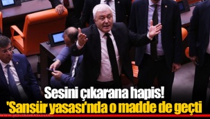 Sesini çıkarana hapis! 'Sansür yasası'nda o madde de geçti