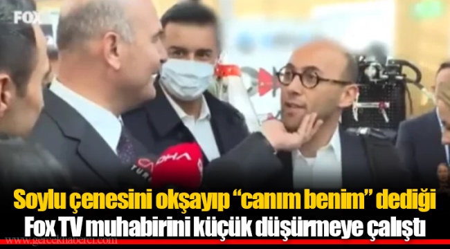 Soylu çenesini okşayıp “canım benim” dediği Fox TV muhabirini küçük düşürmeye çalıştı