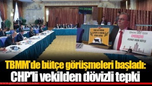 TBMM'de bütçe görüşmeleri başladı: CHP'li vekilden dövizli tepki