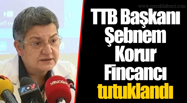 TTB Başkanı Şebnem Korur Fincancı tutuklandı