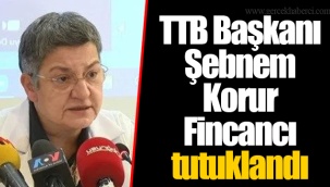 TTB Başkanı Şebnem Korur Fincancı tutuklandı