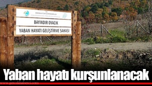 Yaban hayatı kurşunlanacak