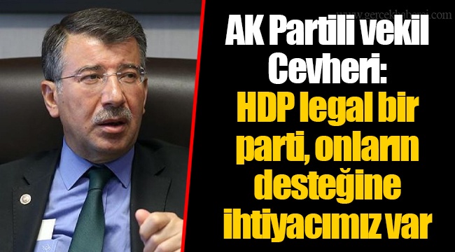 AK Partili vekil Cevheri: HDP legal bir parti, onların desteğine ihtiyacımız var