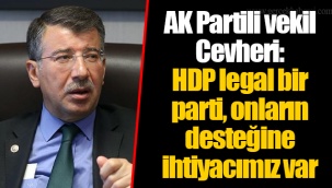 AK Partili vekil Cevheri: HDP legal bir parti, onların desteğine ihtiyacımız var