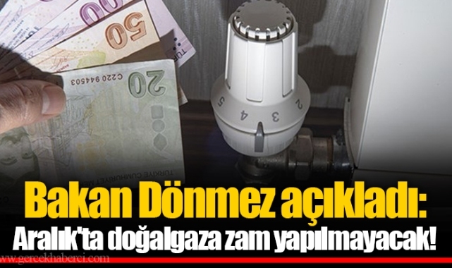 Bakan Dönmez açıkladı: Aralık'ta doğalgaza zam yapılmayacak!