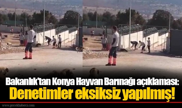 Bakanlık'tan Konya Hayvan Barınağı açıklaması: Denetimler eksiksiz yapılmış!