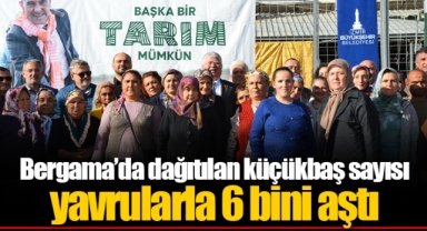 Bergama’da dağıtılan küçükbaş sayısı yavrularla 6 bini aştı