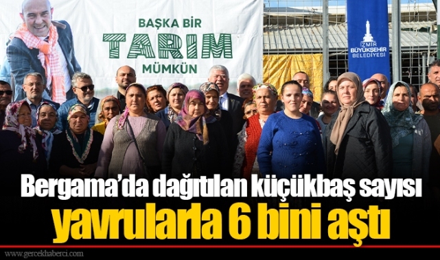Bergama’da dağıtılan küçükbaş sayısı yavrularla 6 bini aştı