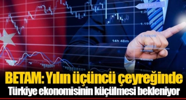 BETAM: Yılın üçüncü çeyreğinde Türkiye ekonomisinin küçülmesi bekleniyor