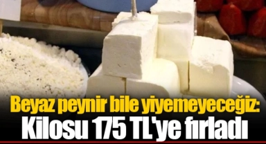 Beyaz peynir bile yiyemeyeceğiz: Kilosu 175 TL'ye fırladı