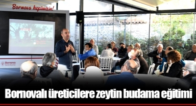 Bornovalı üreticilere zeytin budama eğitimi