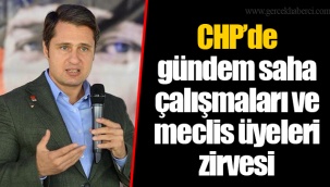 CHP’de gündem saha çalışmaları ve meclis üyeleri zirvesi