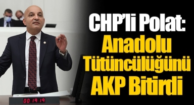 CHP’li Polat: Anadolu Tütüncülüğünü AKP Bitirdi