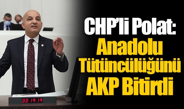 CHP’li Polat: Anadolu Tütüncülüğünü AKP Bitirdi
