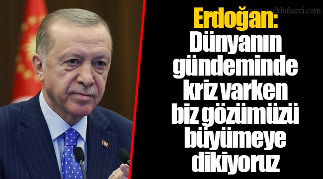 Cumhurbaşkanı Erdoğan: Dünyanın gündeminde kriz varken biz gözümüzü büyümeye dikiyoruz