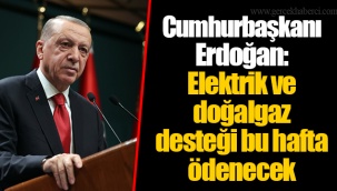Cumhurbaşkanı Erdoğan: Elektrik ve doğalgaz desteği bu hafta ödenecek
