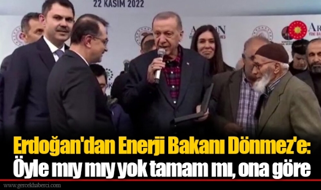 Erdoğan'dan Enerji Bakanı Dönmez'e: Öyle mıy mıy yok tamam mı, ona göre