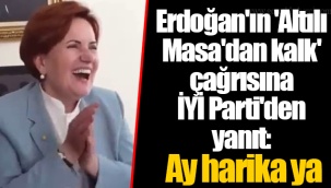Erdoğan'ın 'Altılı Masa'dan kalk' çağrısına İYİ Parti'den yanıt: Ay harika ya