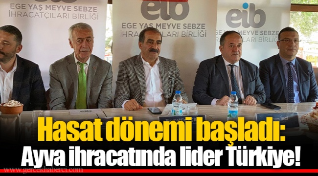 Hasat dönemi başladı: Ayva ihracatında lider Türkiye!