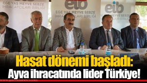Hasat dönemi başladı: Ayva ihracatında lider Türkiye!