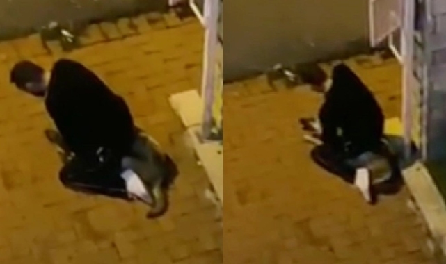 Hayvana şiddet durmuyor... Sokak köpeğini boğmaya çalışırken yakalandı!