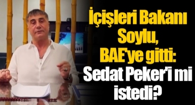 İçişleri Bakanı Soylu, BAE'ye gitti: Sedat Peker'i mi istedi?