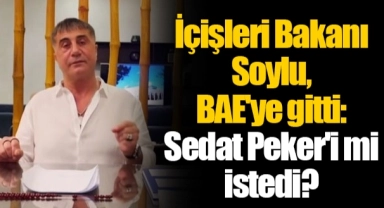 İçişleri Bakanı Soylu, BAE'ye gitti: Sedat Peker'i mi istedi?