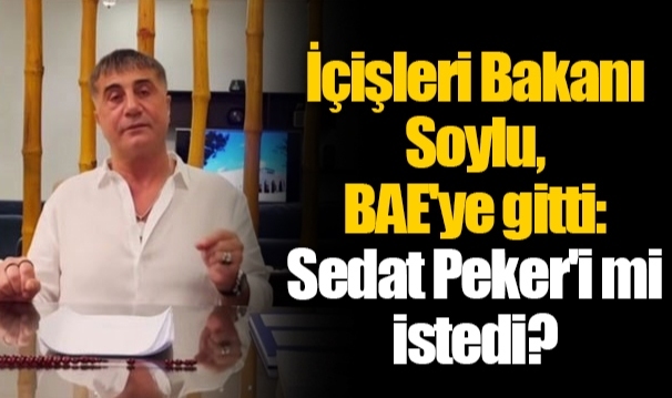 İçişleri Bakanı Soylu, BAE'ye gitti: Sedat Peker'i mi istedi?