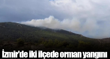 İzmir'de iki ilçede orman yangını
