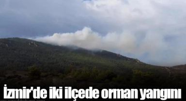 İzmir'de iki ilçede orman yangını