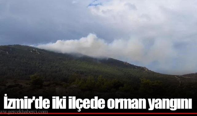 İzmir'de iki ilçede orman yangını