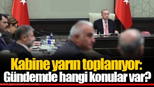 Kabine yarın toplanıyor: Gündemde hangi konular var?