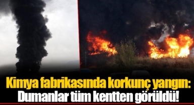 Kimya fabrikasında korkunç yangın: Dumanlar tüm kentten görüldü!