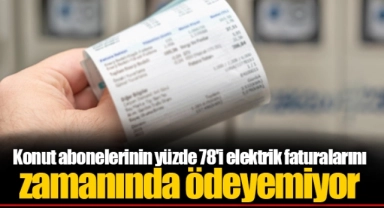 Konut abonelerinin yüzde 78'i elektrik faturalarını zamanında ödeyemiyor