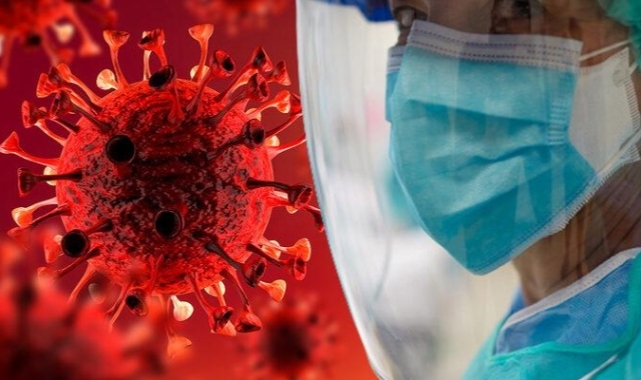 Koronavirüsten daha ölümcül! 'Deve gribi' alarmı: Dünya Kupası'ndan yayılabilir