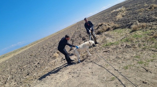 Kuduz tedavisi gören çocuk hayatını kaybetti