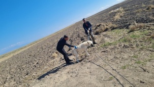 Kuduz tedavisi gören çocuk hayatını kaybetti