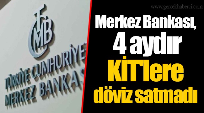 Merkez Bankası, 4 aydır KİT'lere döviz satmadı