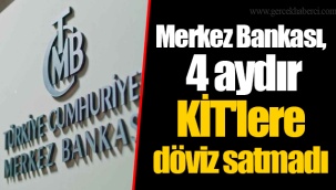 Merkez Bankası, 4 aydır KİT'lere döviz satmadı