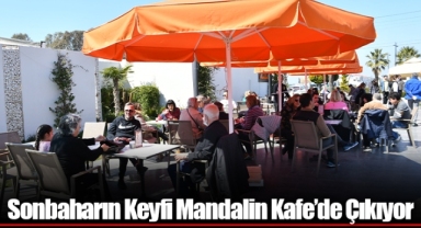 Sonbaharın Keyfi Mandalin Kafe’de Çıkıyor