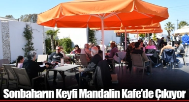 Sonbaharın Keyfi Mandalin Kafe’de Çıkıyor