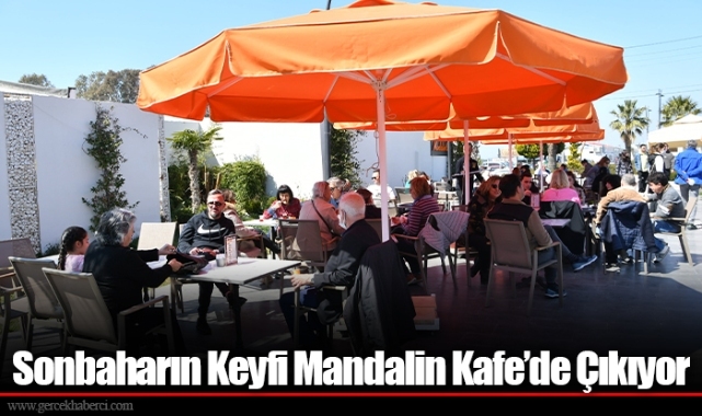Sonbaharın Keyfi Mandalin Kafe’de Çıkıyor