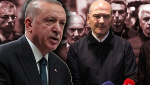 Soylu reddetmişti, Erdoğan kabul etti: 'Şükranlarımı sunuyorum...'