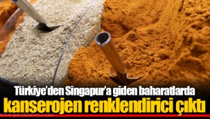 Türkiye’den Singapur’a giden baharatlarda kanserojen renklendirici çıktı