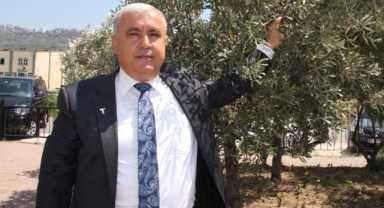 Türkiye sofralık zeytinde dünyada birinci